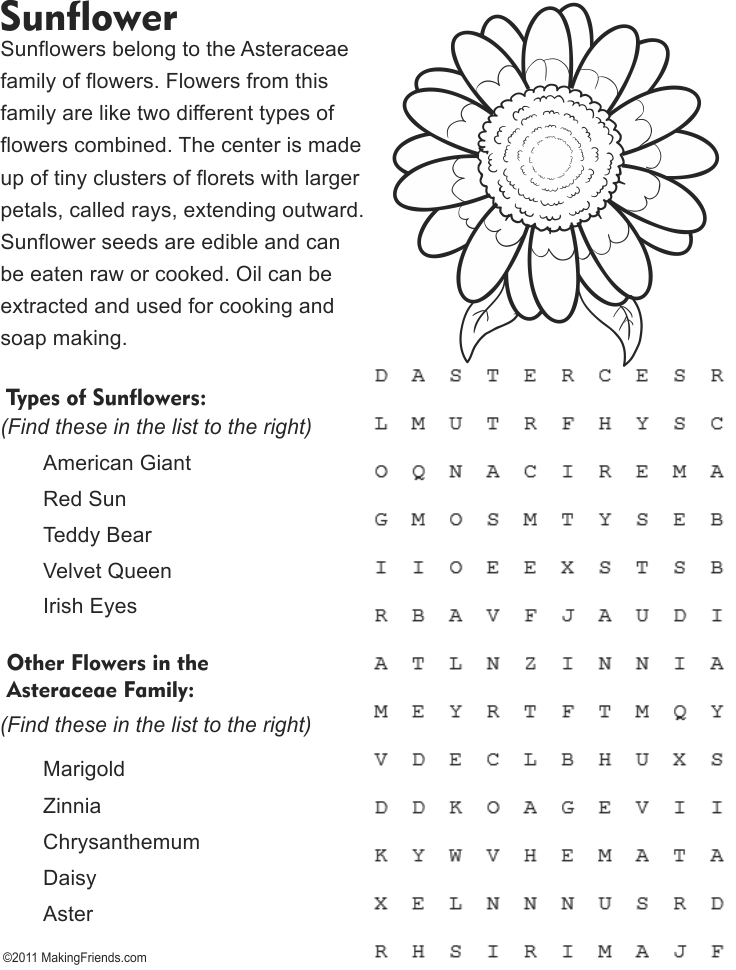 sunflower 