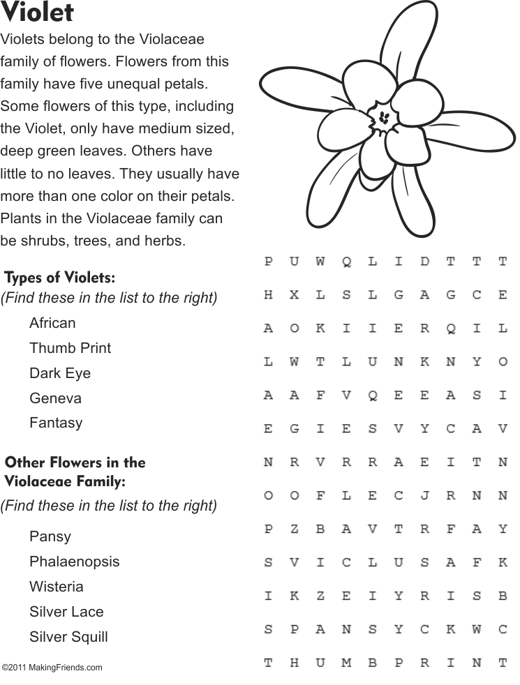Violet Flower