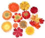 Flower Petals