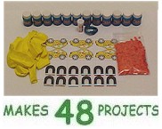 Science Fun Badge in a Bag�