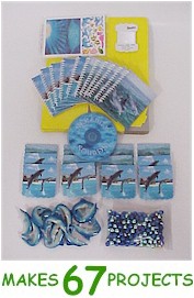 Serenity Badge in a Bag�