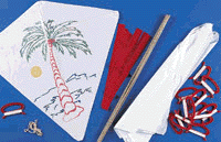 12 Pack of Kite Kits and Permanent Markers