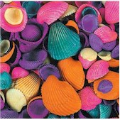 Bulk Pack Colored Shells