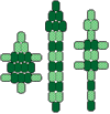 px_reptiles.gif (4413 bytes)