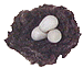 swap_bird_small.gif (4013 bytes)