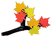 swap_fallleaves.gif (8501 bytes)