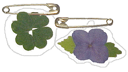 swapnature.gif (14736 bytes)