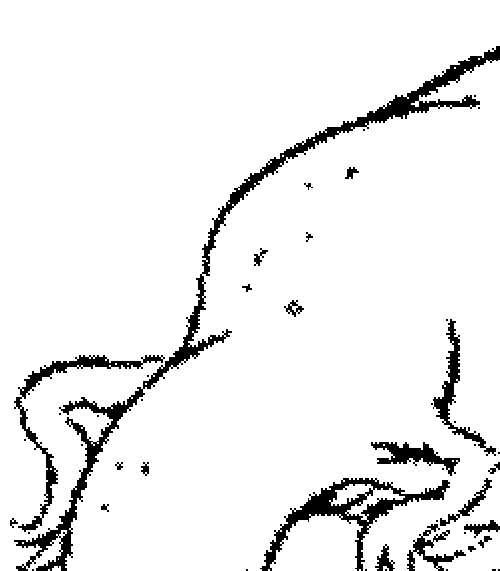 dino_topleft.gif (5078 bytes)